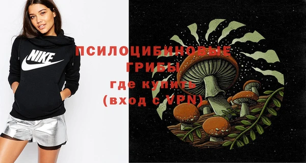 бутират Лагань