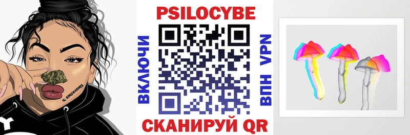 даркнет сайт  Цоци-Юрт  Псилоцибиновые грибы Cubensis 